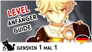 Anfänger Guide: Level - Genshin Impact Deutsch