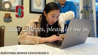 COLLEGE DECISION REACTIONS + FINALS WEEK | Surviving Senior Szn Episode 5