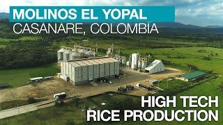 Molinos El Yopal, Colombia | High Tech Rice Production