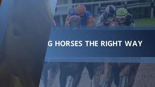 Training Racehorses for Success Today and Across Posterity - Richard Schibell Racing