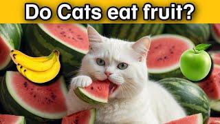 Do cats eat fruit? The Best Fruit for Cats - Feeding Guide & Benefits