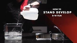 How to stand develop B+W film