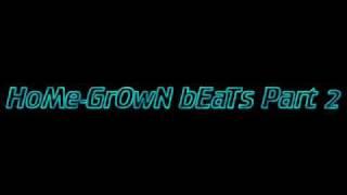 DJ Damon 'Mini Mix HoMe-GrOwN bEaTs Part 2'