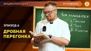 ДРОБНАЯ ПЕРЕГОНКА: что такое ГОЛОВЫ, ТЕЛО, ХВОСТЫ и как их применять?