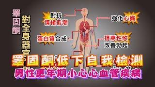 睪固酮低下症候群 自我檢測！ 男性更年期小心心血管疾病！ 健康2.0 精華