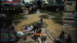 Hilarious BDO Bug