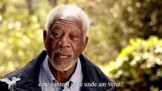 The Story of God with Morgan Freeman - Creation