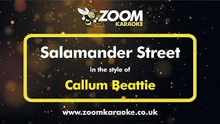 Callum Beattie - Salamander Street (Without Backing Vocals) - Karaoke Version from Zoom Karaoke