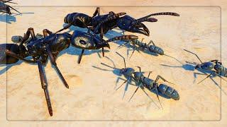 Using Stink Ants VS Matabele Ants in Empires Of The Undergrowth