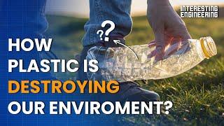 How plastic is destroying our environment and what to do about it