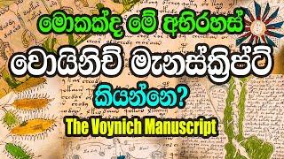 වොයිනිච් මැනස්ක්‍රිප්ට් අභිරහස විසදන්න බැරි ඇයි? ඇත්තක්ද බොරුවක්ද? | The Voynich Manuscript mystery