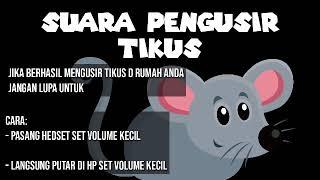 SUARA PENGUSIR TIKUS (GELOMBANG ULTRASONIC)