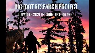 July 2021 Bigfoot-Encounters... rocks thrown and screams at Mt Hood Oregon!