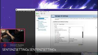 SEN TenZ NVidia Settings & Monitor Settings 2021