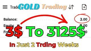 Turning $3 into $3,125! Forex Trading Live - Strategies, Wins and Lessons Learned in Real-Time!