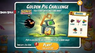 Angry Birds 2 Golden Pig Challenge Room 8 (with Bird Bomb)