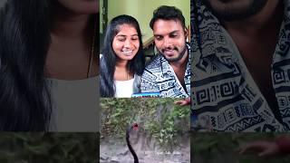  Couples Reaction Video  Funny Video Reaction #laugh #reaction #funnyvideo #shorts #shortsfeed