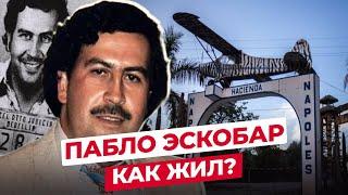 ПАБЛО ЭСКОБАР: ЧТО СТАЛО С ГЛАВОЙ МЕДЕЛЬИНСКОГО КАРТЕЛЯ