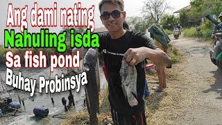 ANG DAMI NATING NAHULING ISDA SA FISH POND BUHAY PROBINSYA PAMPANGA PART 6