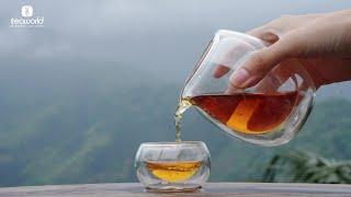 Make a cup of tea at the top of the mountain