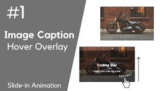 CSS Image Caption Tutorial #1 - Hover Overlay Slide Effect