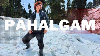 Pahalgam travel guide | Complete Pahalgam Travel Guide | Pahalgam Kashmir | Kashmir Vlog | Aam Yatri