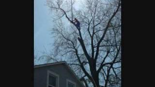 Climbing Arborist Limb Removal Above House