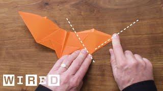 How to Fold Five Incredible Paper Airplanes | WIRED