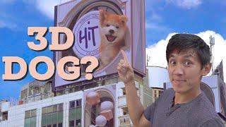 How the "3D" Dog Billboards Look From Different Angles | Shibuya Streetview