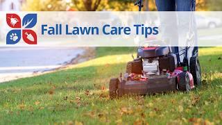 5 Fall Lawn Care Tips from DoMyOwn.com