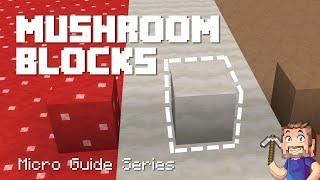 Mushroom Blocks - Minecraft Micro Guide