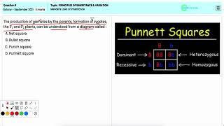 Principles of Inheritance:NEET 2021 Botany on Mendel's Laws |In-Depth Insights for Q9|Gotouniversity