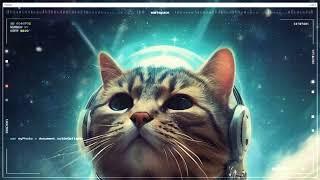 Cosmocat