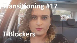 Testosterone Blockers | Transitioning #18