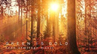 Drumless Rock Backing Track (120 BPM) "Green is Gold"