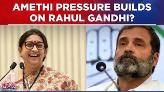 Uttar Pradesh Congress Demands Rahul Gandhi To Contest From Amethi In Lok Sabha Polls Says Sources
