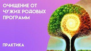 Очищение от чужих Родовых программ. Энергетическая практика