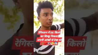 Duniya ka khatarnak bichu 56 kilo ka#facebook #viralvideo #instagram #danger