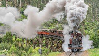 A Day at Puffing Billy Railway - 2021