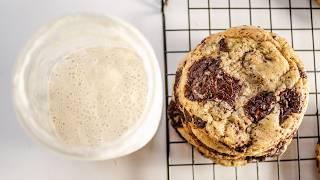 The Sourdough Chocolate Chip Cookies You NEED to Make