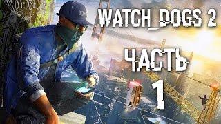 Прохождение Watch Dogs 2 — Часть 1: НОВЫЕ ХАКЕРЫ