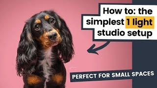 Simple ONE-LIGHT Studio Dog Photography Setup: How to do Butterfly Lighting ft. Bryt