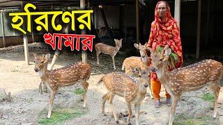 বাণিজ্যিক সুন্দরবনের চিতা হরিণের খামার এখন মানিকগঞ্জে | হরিণ পালন পদ্ধতি | Deer farm