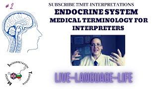 #2 Endocrine system Medical terminology for Interpreters/ Wired Masterminds Language life