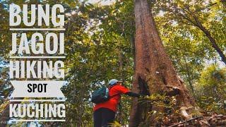 Borneo Hiking Spot || Bung Jagoi