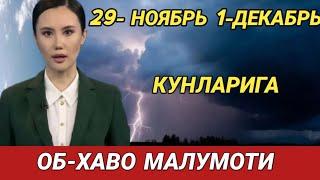 29-30 НОЯБРЬ ВА 1-ДЕКАБРЬ КУНЛАРИ УЧУН ОБ ХАВО МАЛУМОТИ, ob havo.