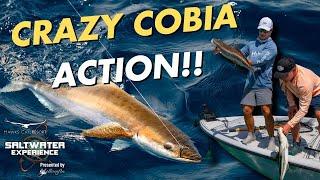 Cobia and Shark Fishing in the Florida Keys is INSANE | Saltwater Experience