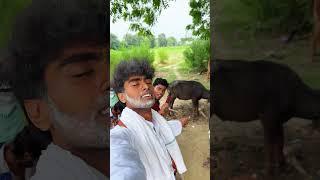 Mukhiya jii #viral #explore #shorts