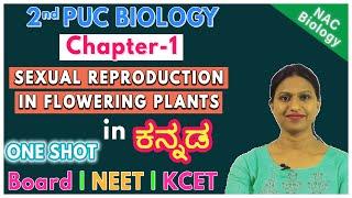 Sexual Reproduction in Flowering Plants Class 12 in kannada | NEET | KCET