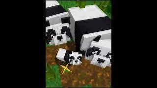 Cutest Thing In Minecraft ️. (p4) #shorts #minecraft #panda